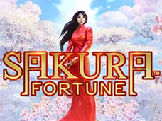 Sakura Fortune. 